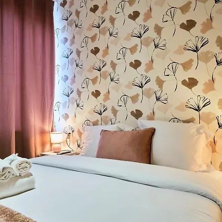 Ng Prestige - Lille L Trichon - Netflix - Wifi Roubaix